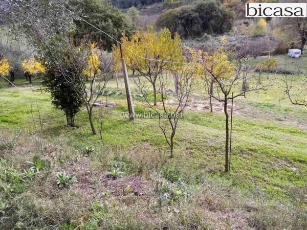 terreno agricolo in vendita a Pesaro