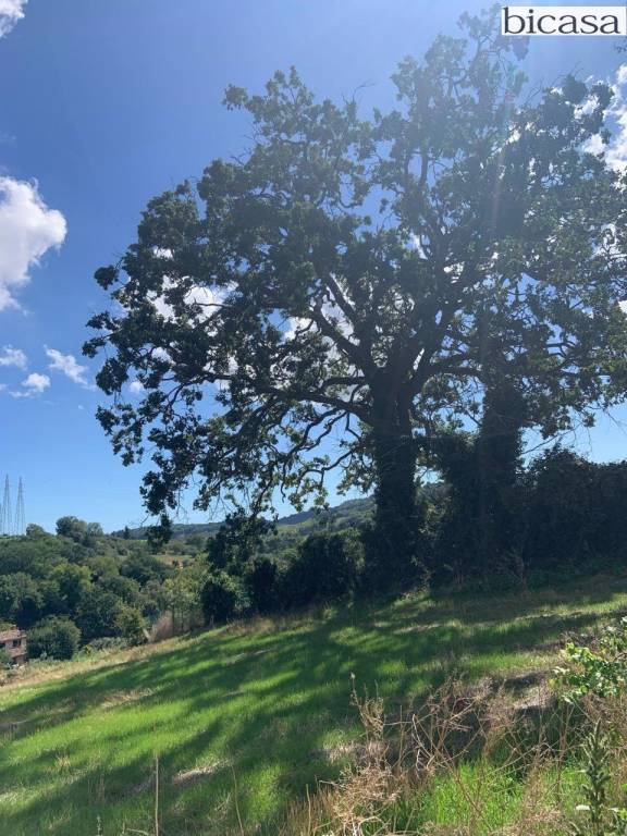 terreno agricolo in vendita a Pesaro in zona Santa Veneranda