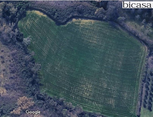 terreno agricolo in vendita a Pesaro in zona Candelara