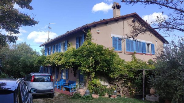 esavano in vendita a Pesaro