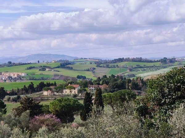 terreno agricolo in vendita a Pesaro in zona Cattabrighe