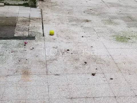 appartamento in vendita a Pesaro in zona Centro Città