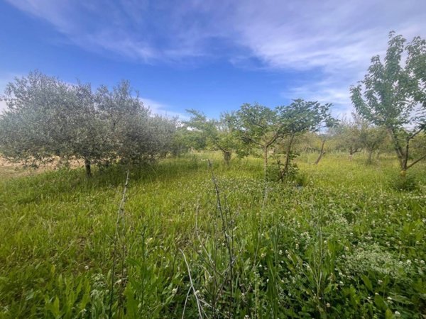casa indipendente in vendita a Pesaro in zona Villa Fastiggi