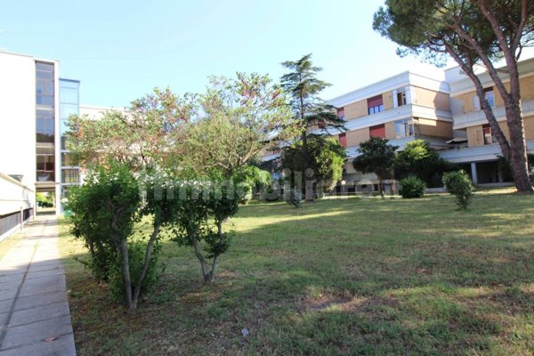 appartamento in vendita a Pesaro in zona Santa Veneranda