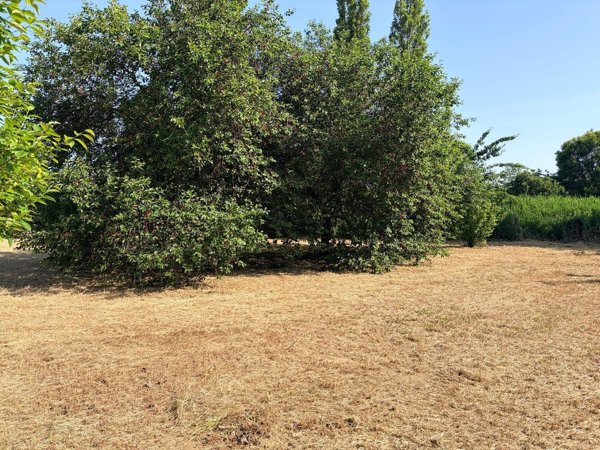 casa indipendente in vendita a Pesaro in zona Villa Fastiggi