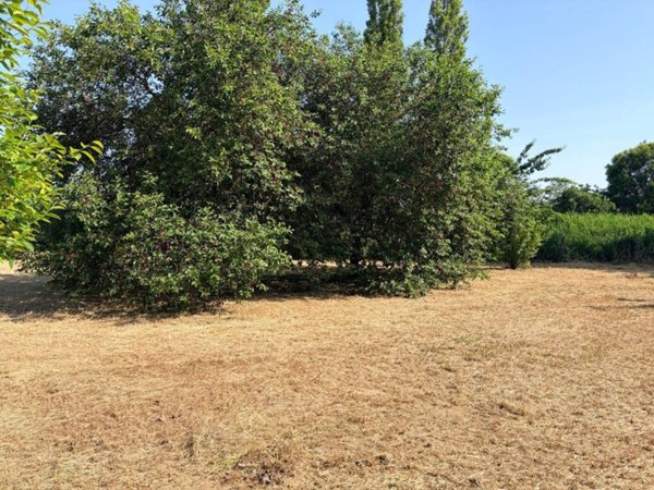 casa indipendente in vendita a Pesaro in zona Villa Fastiggi
