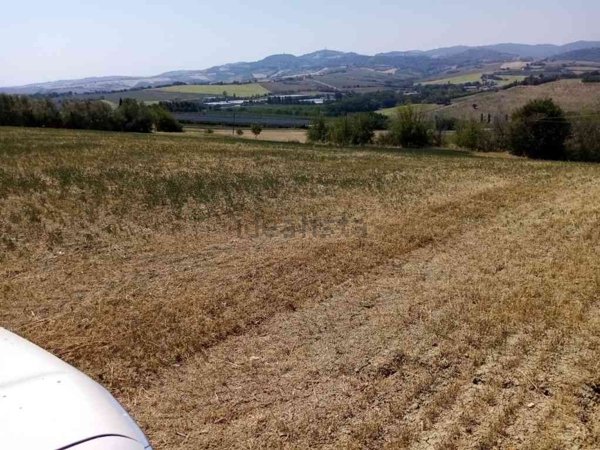 terreno agricolo in vendita a Pesaro in zona Candelara