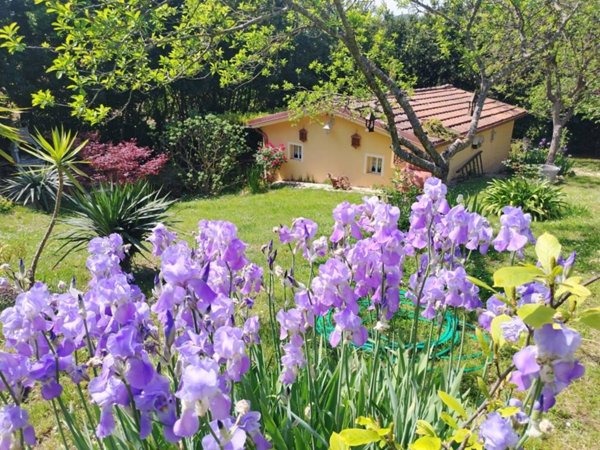appartamento in vendita a Pesaro in zona Mare