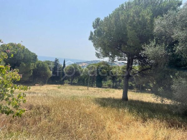 terreno agricolo in vendita a Pesaro in zona Mare
