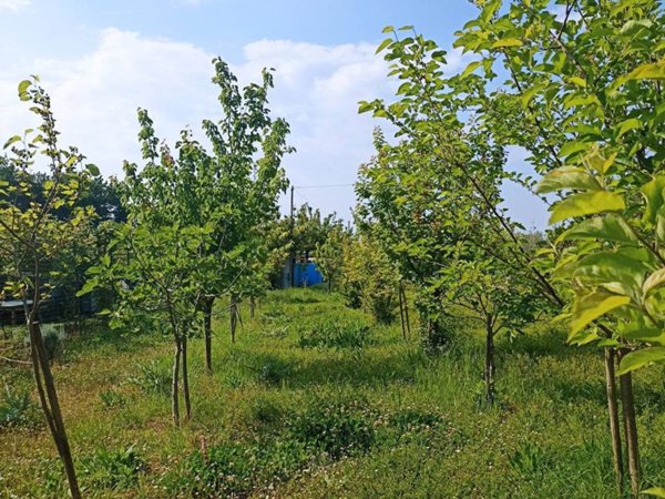 casa indipendente in vendita a Pesaro