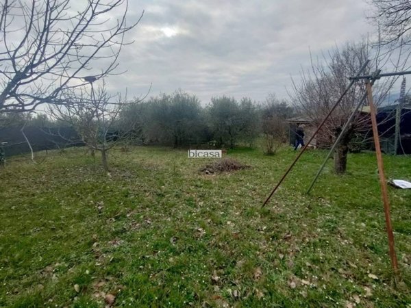terreno agricolo in vendita a Pesaro in zona Borgo Santa Maria