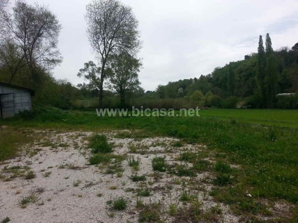 esavano in vendita a Pesaro in zona Trebbiantico