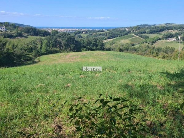 terreno agricolo in vendita a Pesaro