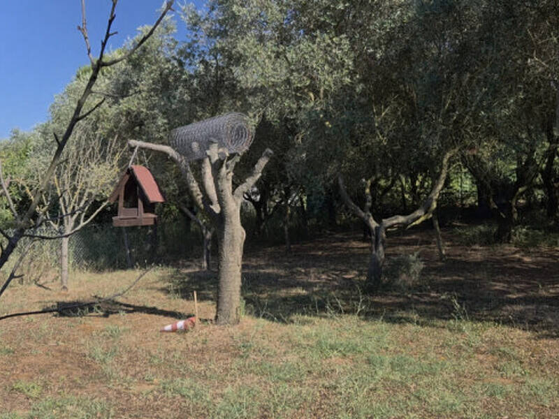 terreno agricolo in vendita a Pesaro in zona Valle dei Pelati