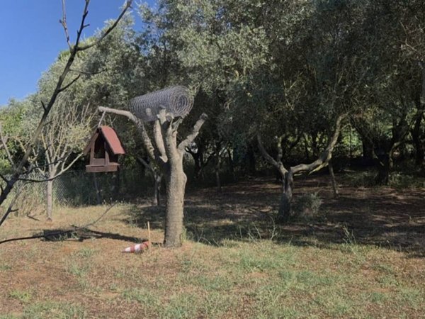 terreno agricolo in vendita a Pesaro in zona Case Bruciate