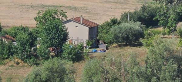 immagine annuncio 0 di 1