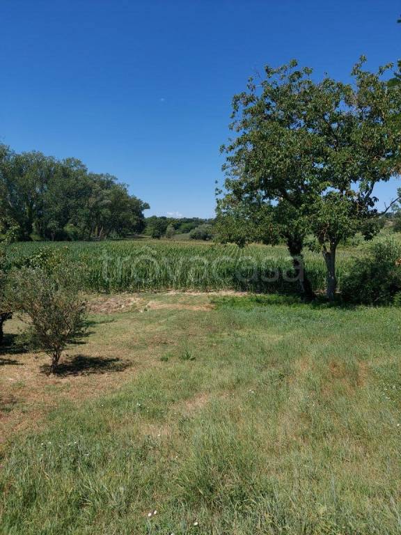 terreno agricolo in vendita a Pesaro in zona Santa Maria dell'Arzilla