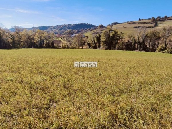 casa indipendente in vendita a Pesaro in zona Villa Betti