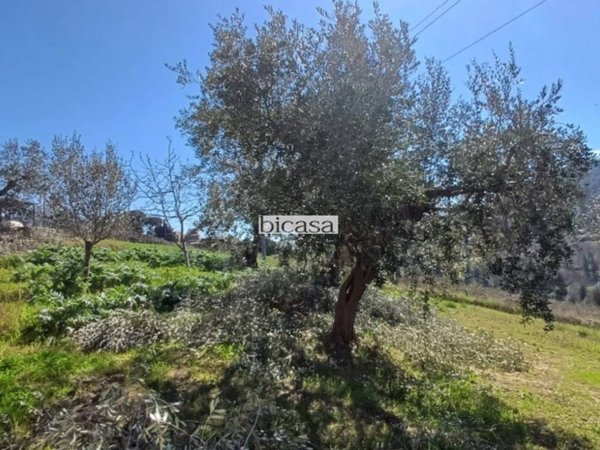 terreno agricolo in vendita a Pesaro in zona Candelara