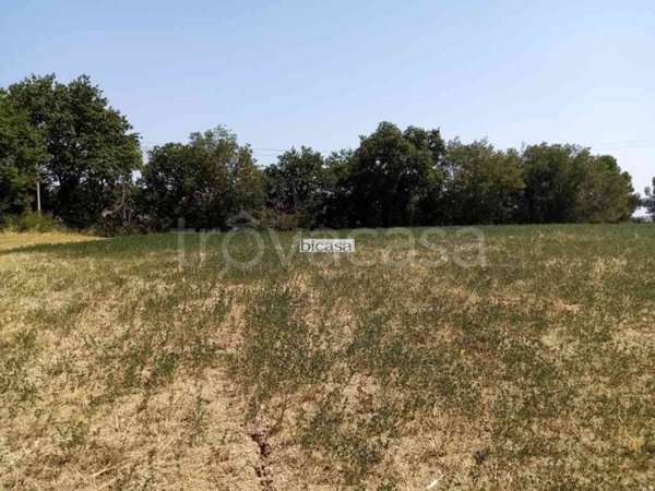 terreno agricolo in vendita a Pesaro