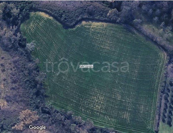 terreno agricolo in vendita a Pesaro in zona Candelara