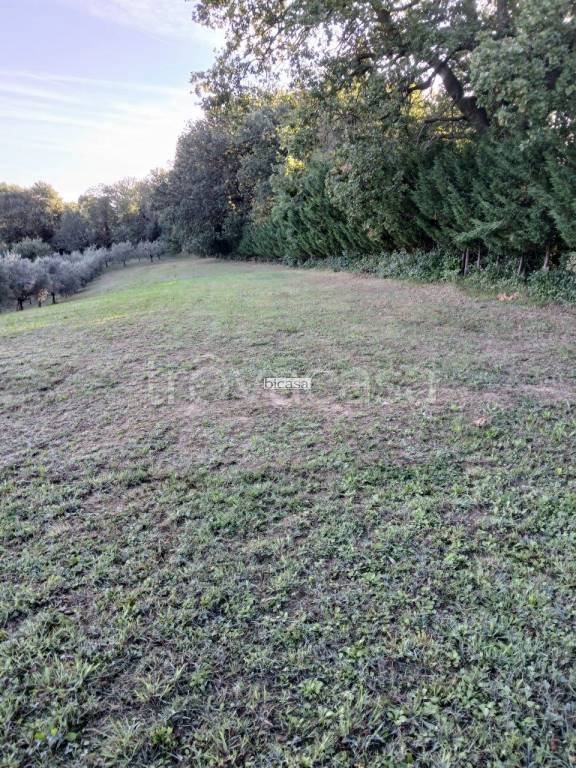 terreno agricolo in vendita a Pesaro in zona Villa Fastiggi
