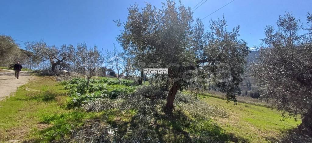 terreno in vendita a Pesaro in zona Candelara