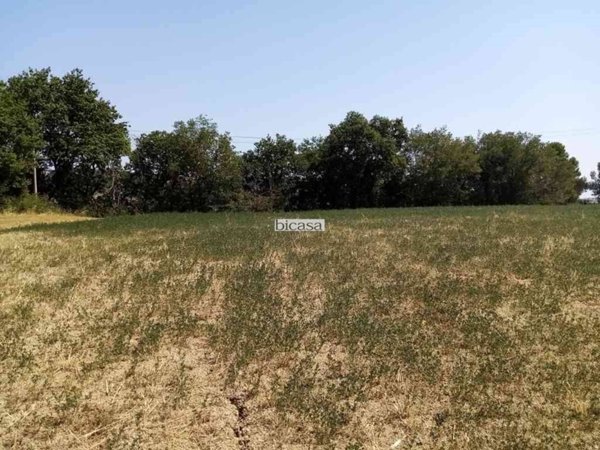 terreno agricolo in vendita a Pesaro