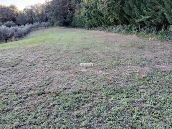 casa indipendente in vendita a Pesaro in zona Villa Fastiggi