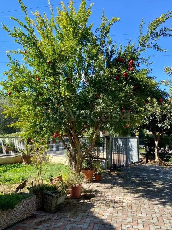appartamento in vendita a Pesaro in zona Santa Veneranda