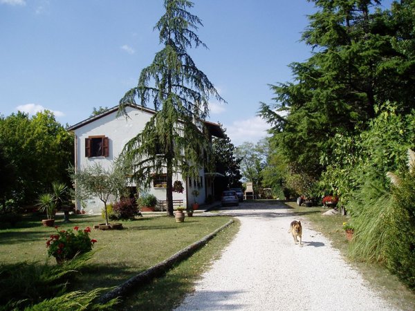 casa indipendente in vendita a Petriano