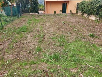 terreno agricolo in vendita a Petriano