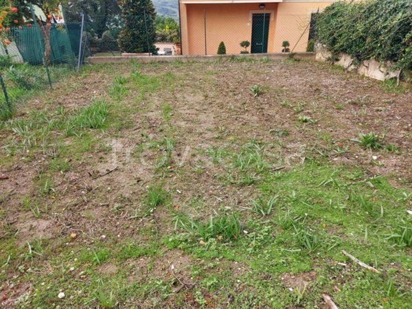 terreno agricolo in vendita a Petriano
