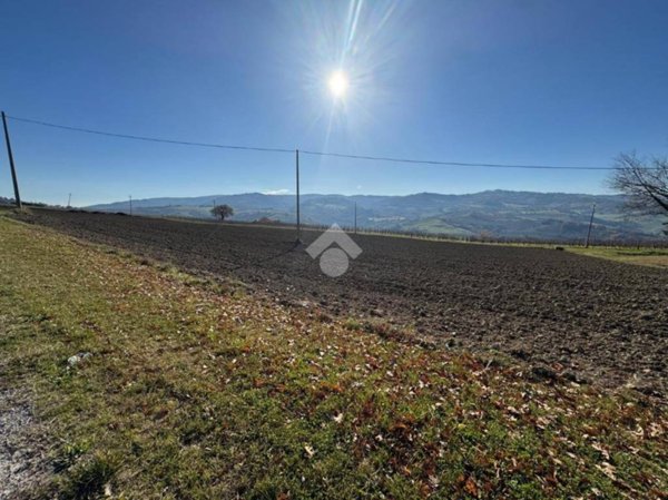 terreno agricolo in vendita a Petriano in zona Gallo
