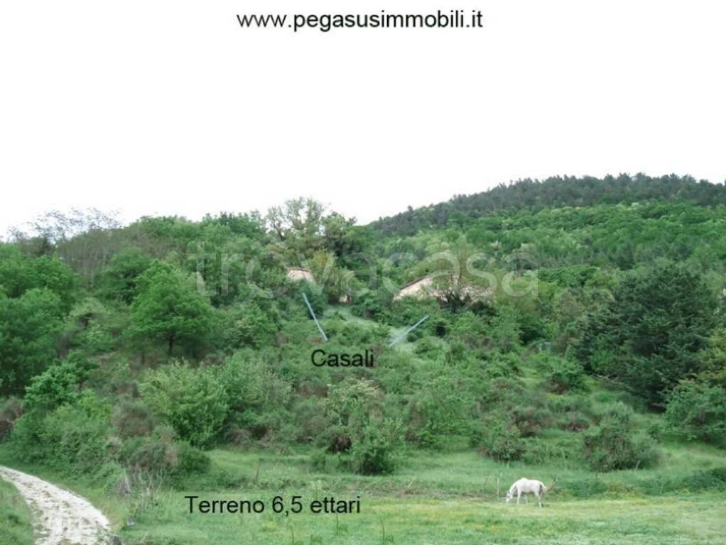 casale in vendita a Piobbico