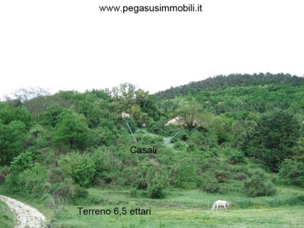 casale in vendita a Piobbico in zona Piano
