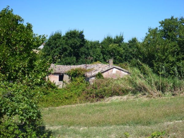 negozio in vendita a San Costanzo