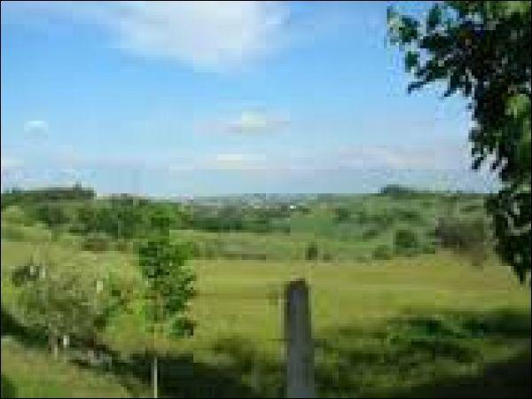 terreno agricolo in vendita a San Costanzo in zona Cerasa