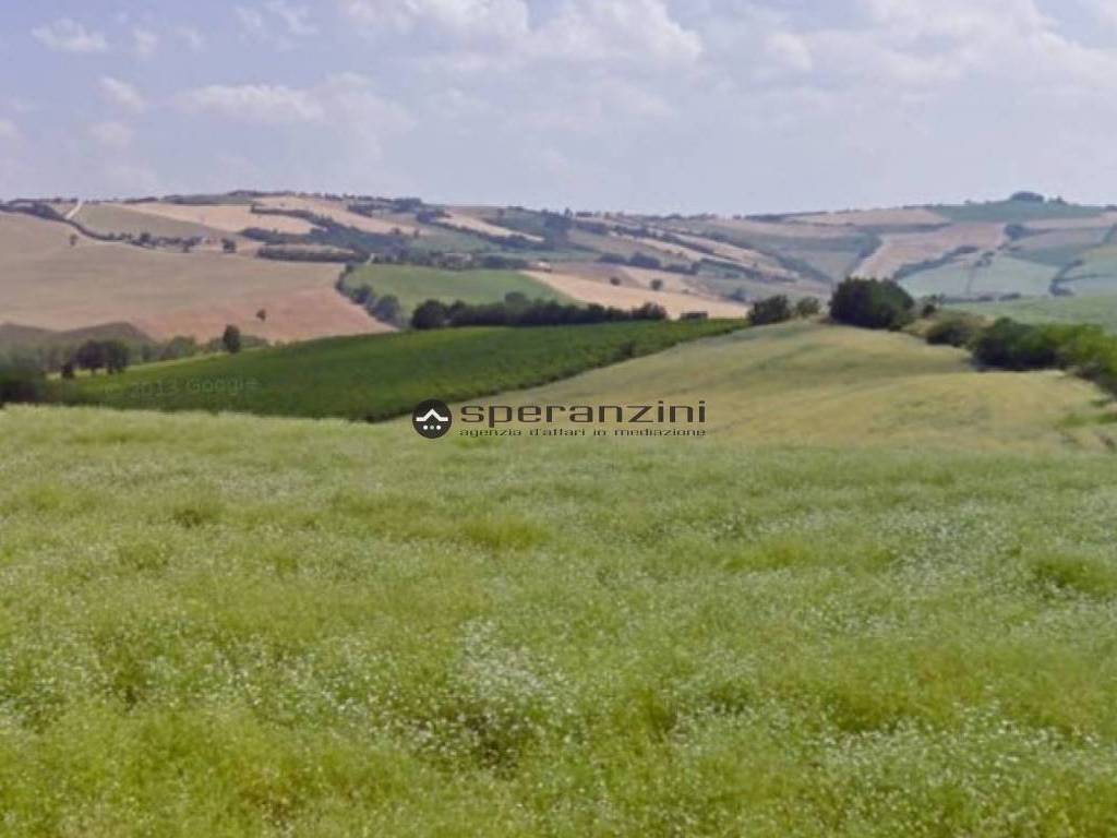 terreno agricolo in vendita a San Costanzo