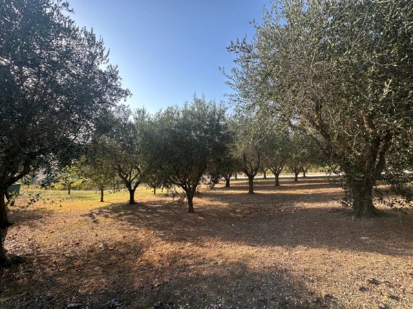 casa indipendente in vendita a San Costanzo