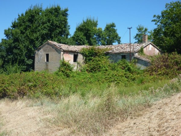pentavano in vendita a San Costanzo
