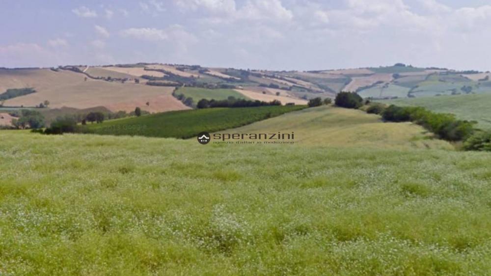 terreno agricolo in vendita a San Costanzo