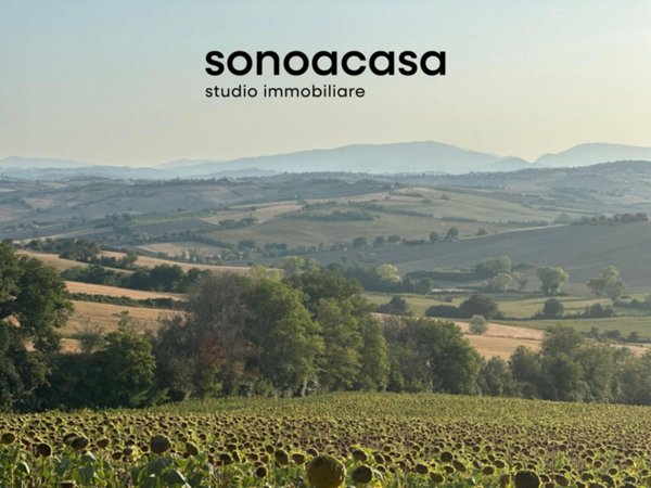 terreno agricolo in vendita a San Costanzo