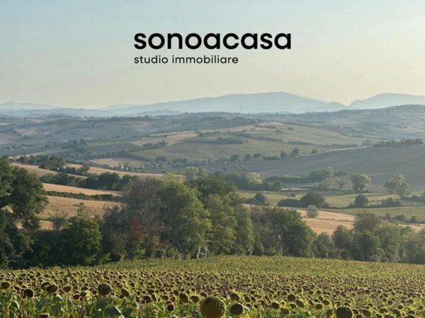 terreno agricolo in vendita a San Costanzo