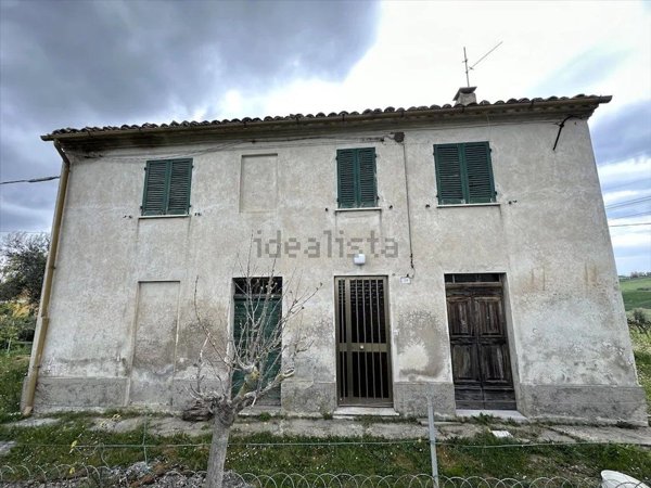 esavano in vendita a San Costanzo