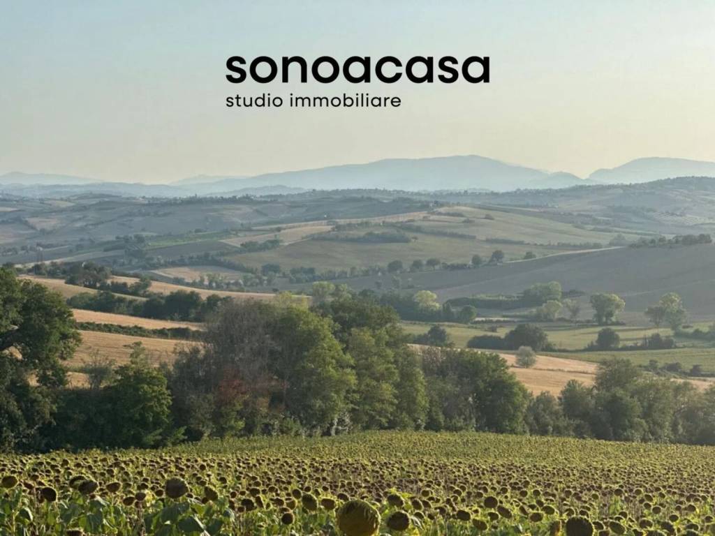 terreno agricolo in vendita a San Costanzo