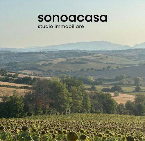 terreno agricolo in vendita a San Costanzo