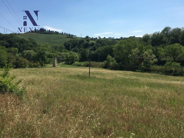 terreno agricolo in vendita a San Costanzo