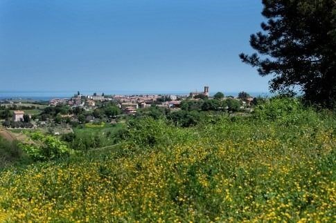 casa indipendente in vendita a San Costanzo