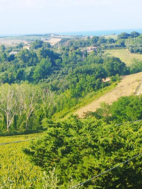 casa indipendente in vendita a San Costanzo